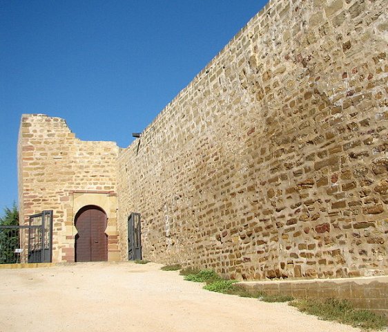 Entrada lienzo castillo
